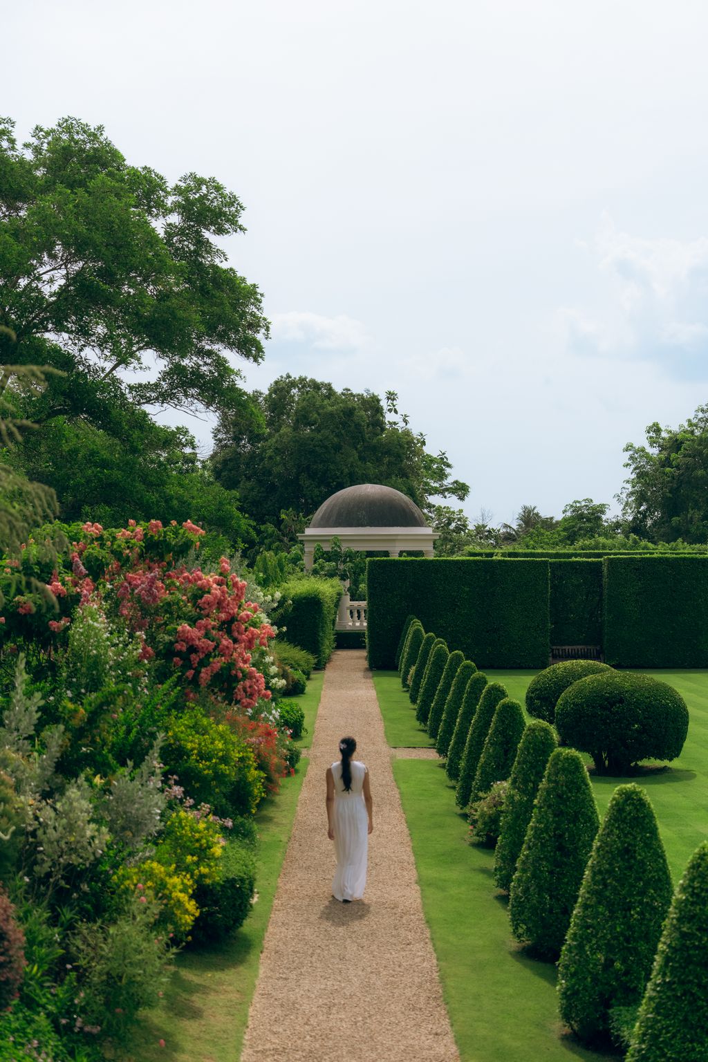 Gentle English Border