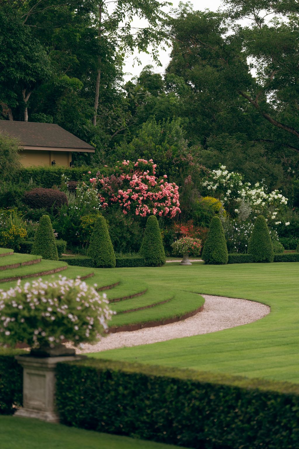 Gentle English Border_2