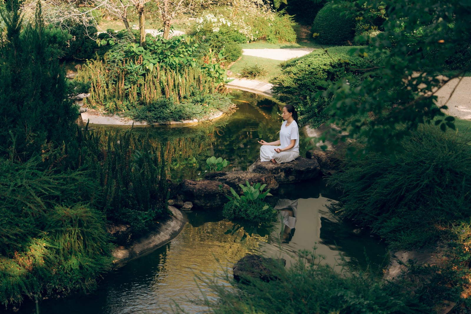 Japanese Garden 3