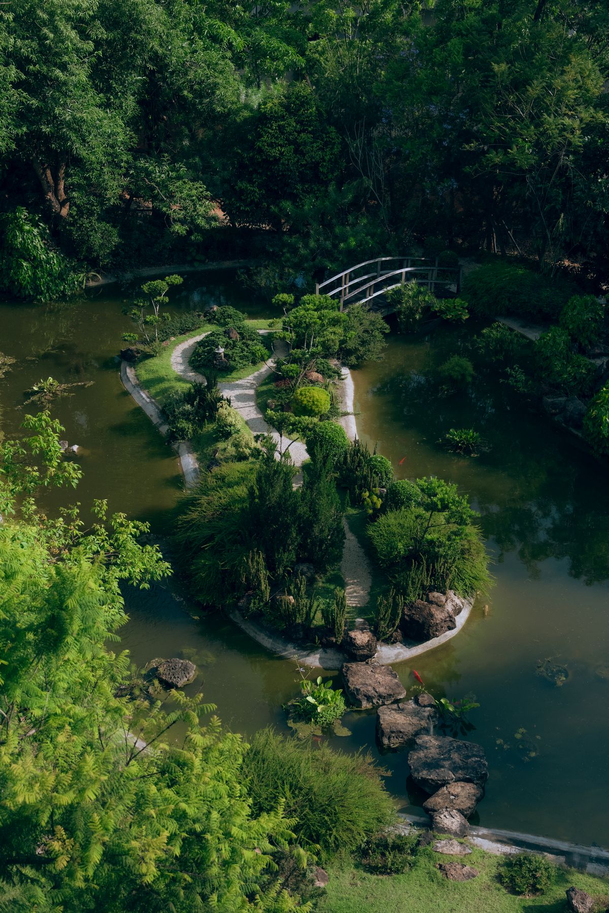 Japanese Garden_2